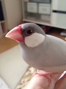 写真 (8)