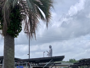 IMG_7425
