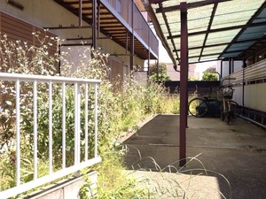 写真 5 (3)