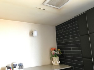 IMG_9391