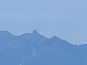 yari