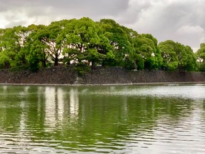 IMG_4473