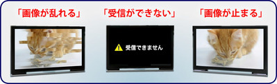 jyushinsyougai2