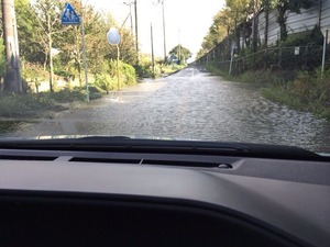 写真 1 (4)