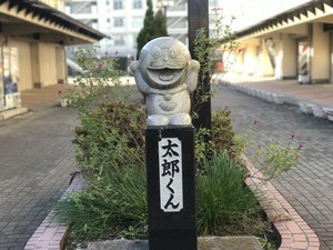 IMG_1071