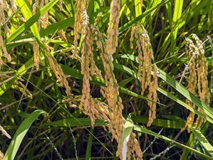 PXL_20230825_223025080