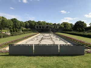 IMG_3575