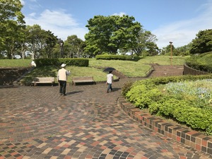 IMG_3550