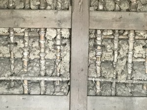 IMG_4564