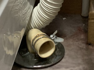 IMG_2524
