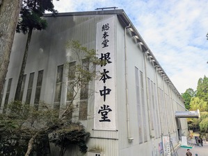 PXL_20241002_035849318