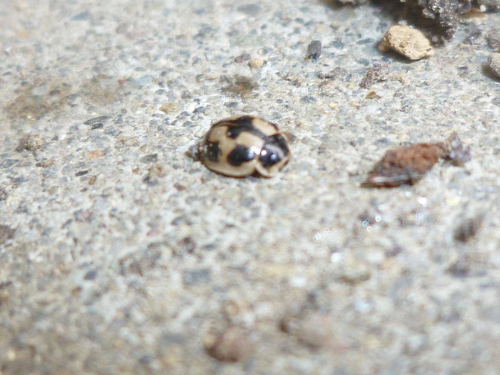 賃貸管理クレーム日記 15年08月27日