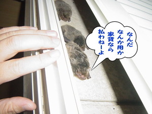 fc7eb7fd
