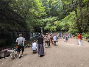 PXL_20230824_030504592