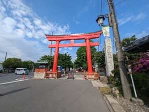 PXL_20230430_222932549