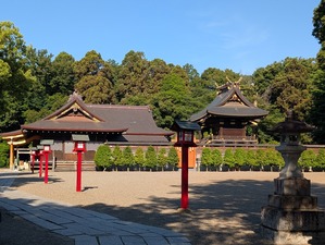 06013
