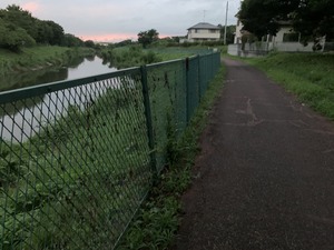 IMG_2427