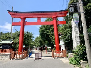 IMG_6930 1