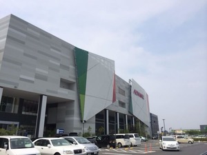 写真 1 (5)
