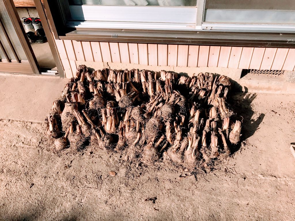 賃貸管理クレーム日記 ぼんくれ 賃貸管理クレーム日記 ぼんくれ