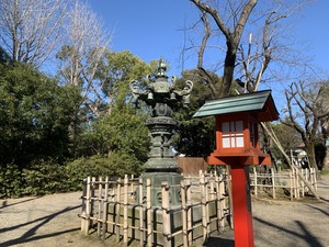 IMG_9890