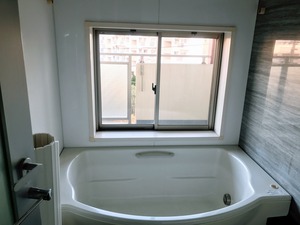 IMG_0540