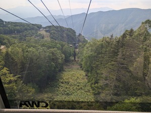 PXL_20240620_064146540