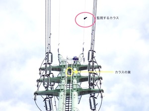 図3