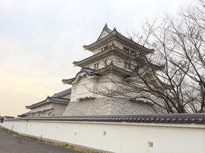 写真 2