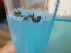 ����5����