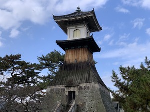 IMG_8600