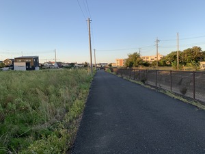 IMG_6875