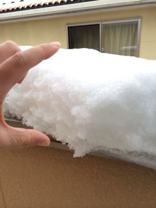 写真111