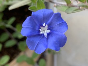 IMG_3039