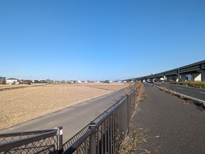 PXL_20231129_044835992