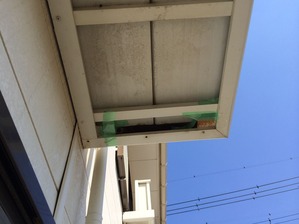 写真 5 (1)
