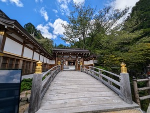 PXL_20240917_033054438