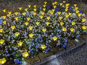 PXL_20221230_080110799