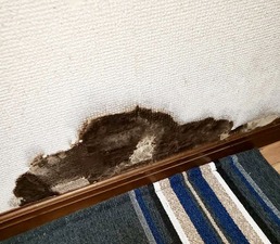 7B368968-0839-4FB9-9711-0A0AAB3B5882