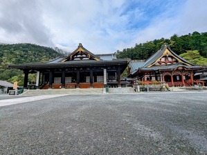 PXL_20250423_062343530~2