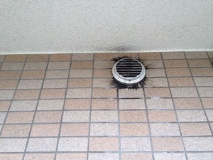 写真 4 (5)