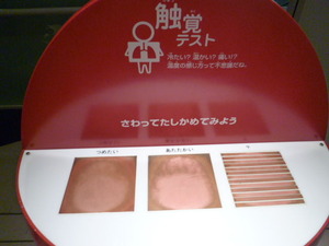 触覚テスト