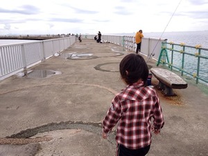 写真 3
