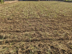 PXL_20230929_223719670