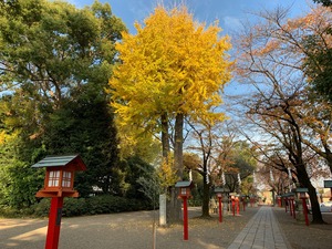 IMG_1495