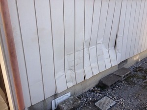 写真 1 (3)