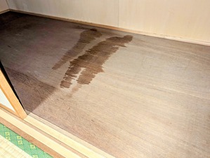 PXL_20231021_072058523-EDIT