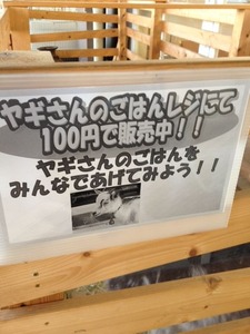 写真 (32)