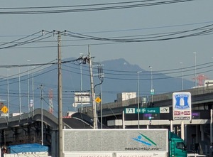 PXL_20231129_044907626