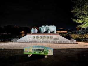 8161